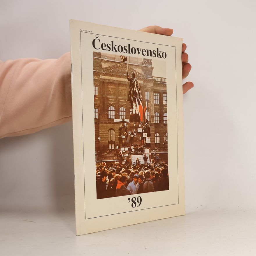 Vladimír Birgus Československo '89