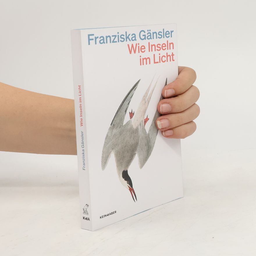 Franziska Gänsler Wie Inseln im Licht