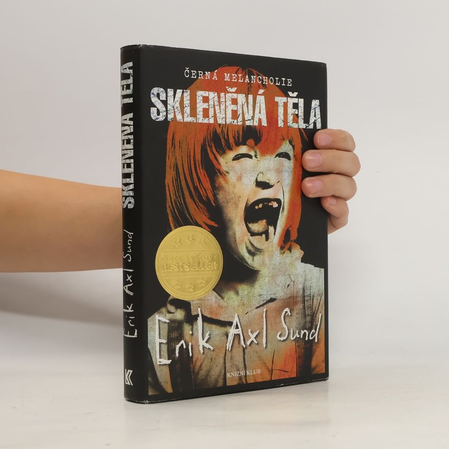 Erik Axl Sund Skleněná těla. Černá melancholie