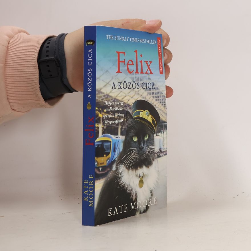 Kate Moore Felix: A Közös Cica