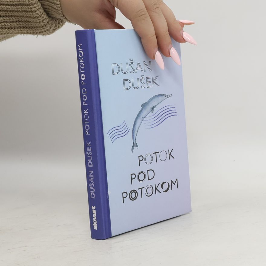 Dušan Dušek Potok pod potokom