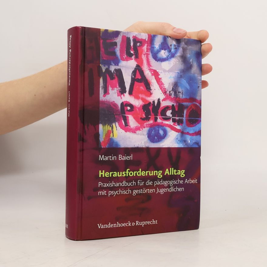 Martin Baierl Herausforderung Alltag