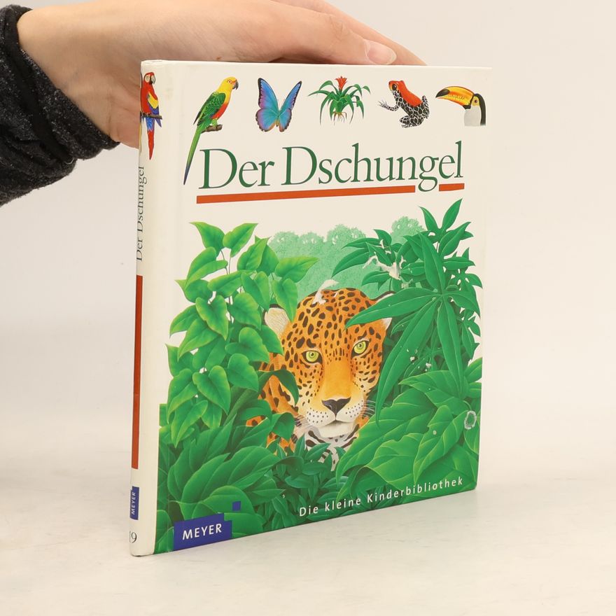 René Mettler Der Dschungel