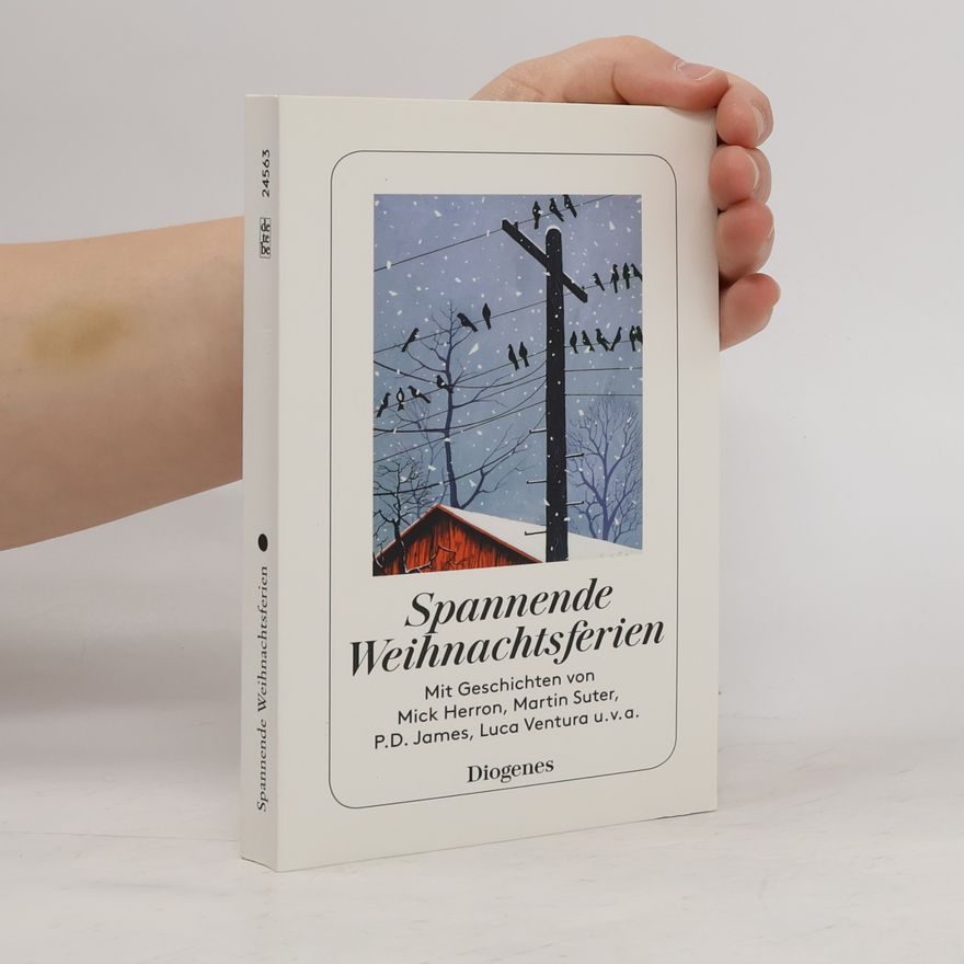 Shelagh Armit Spannende Weihnachtsferien