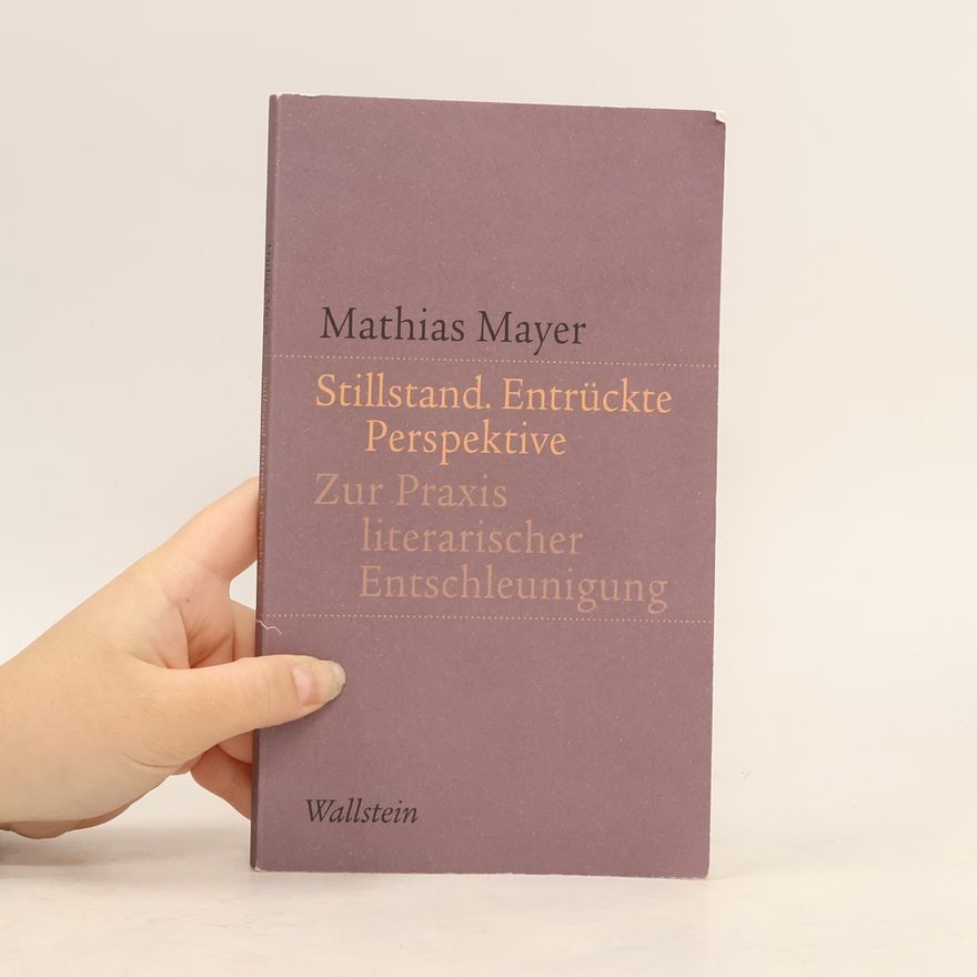 Mathias Mayer Stillstand. Entrückte Perspektive