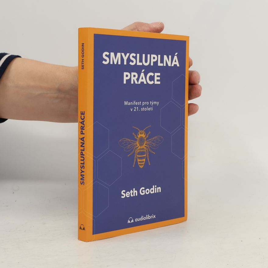 Seth Godin Smysluplná práce : manifest pro týmy v 21. století
