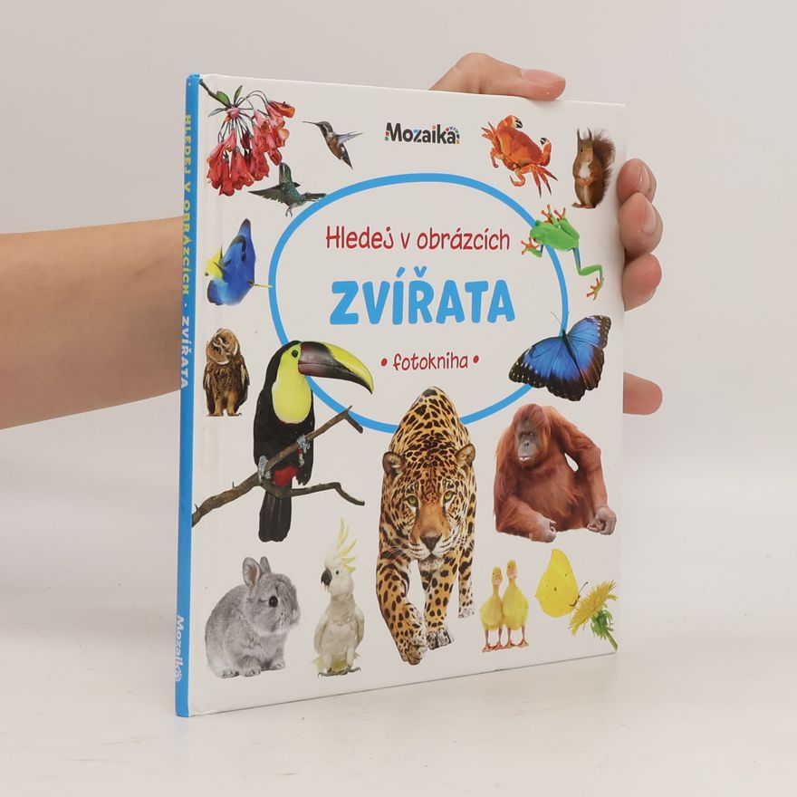 Kolektiv autorů Hledej v obrázcích: Zvířata (fotokniha)