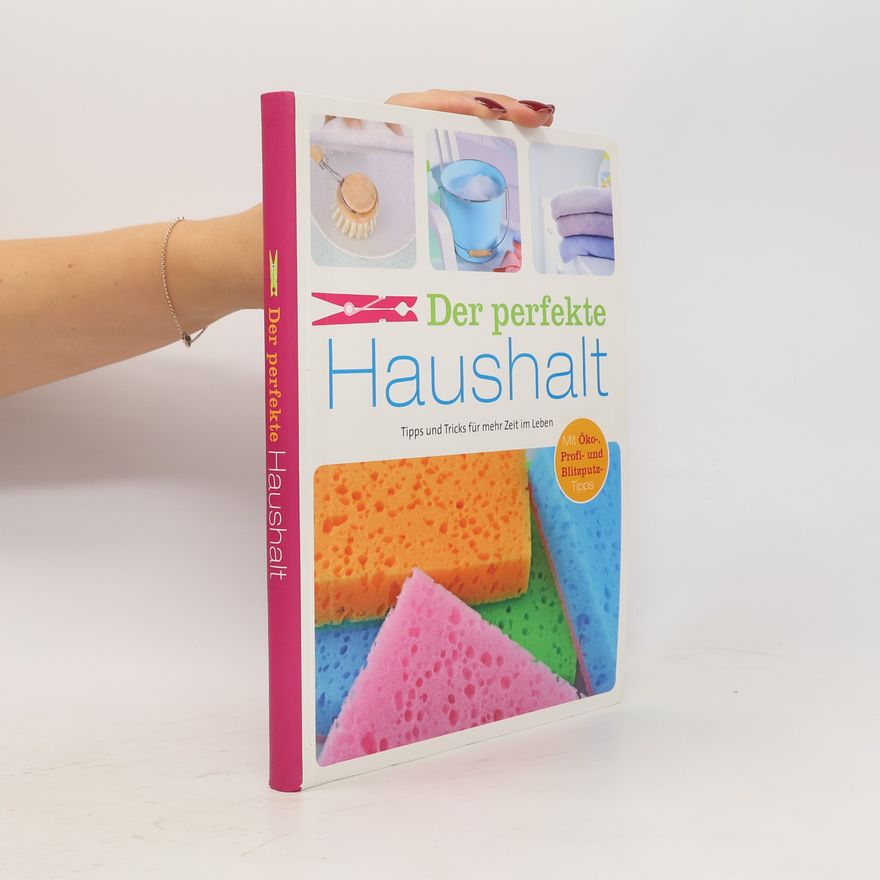 Ulrike Lowis Der perfekte Haushalt