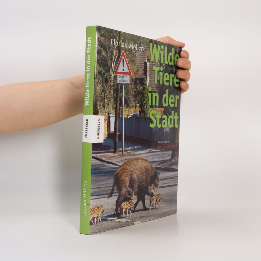Florian Möllers Wilde Tiere in der Stadt