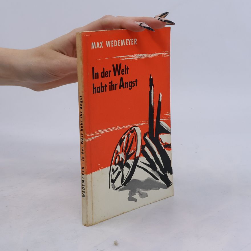 Max Wedemeyer In der Welt habt ihr Angst