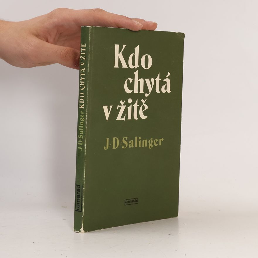 Jerome David Salinger Kdo chytá v žitě