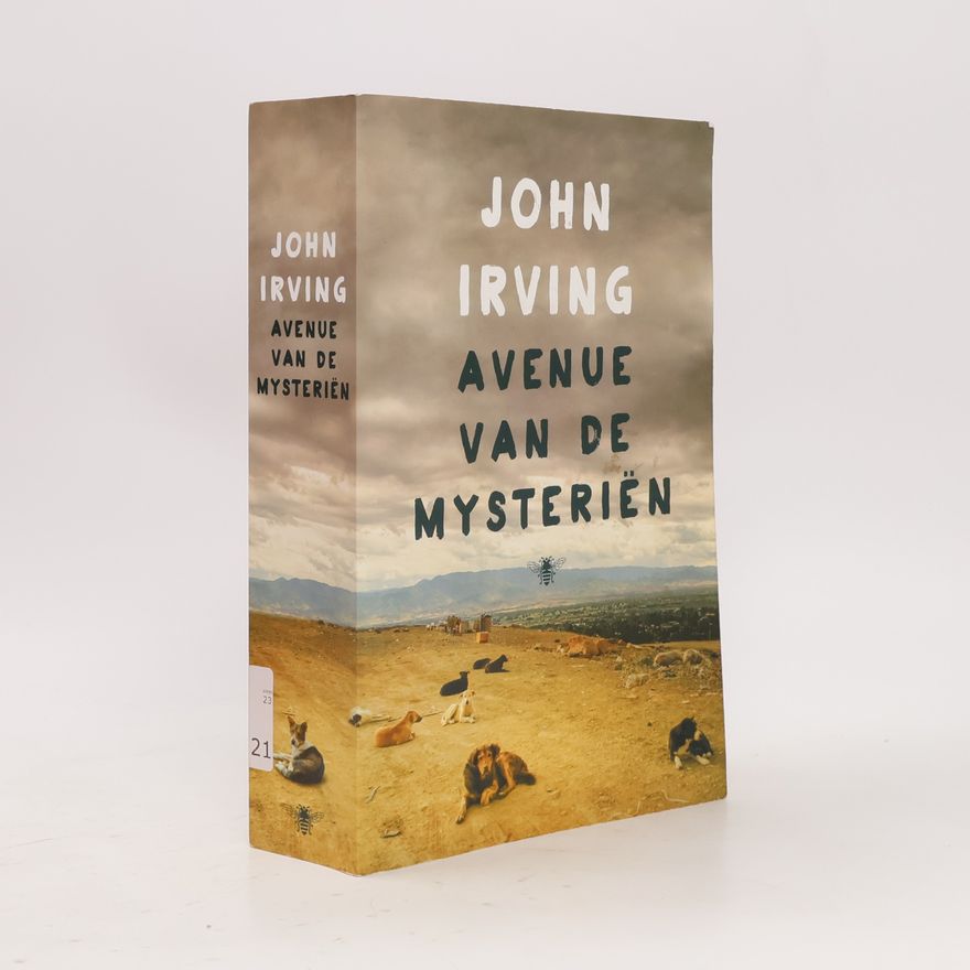 John Irving Avenue van de mysteriën