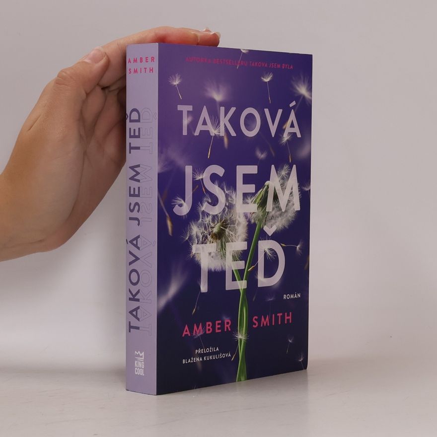 Amber Smith Taková jsem teď