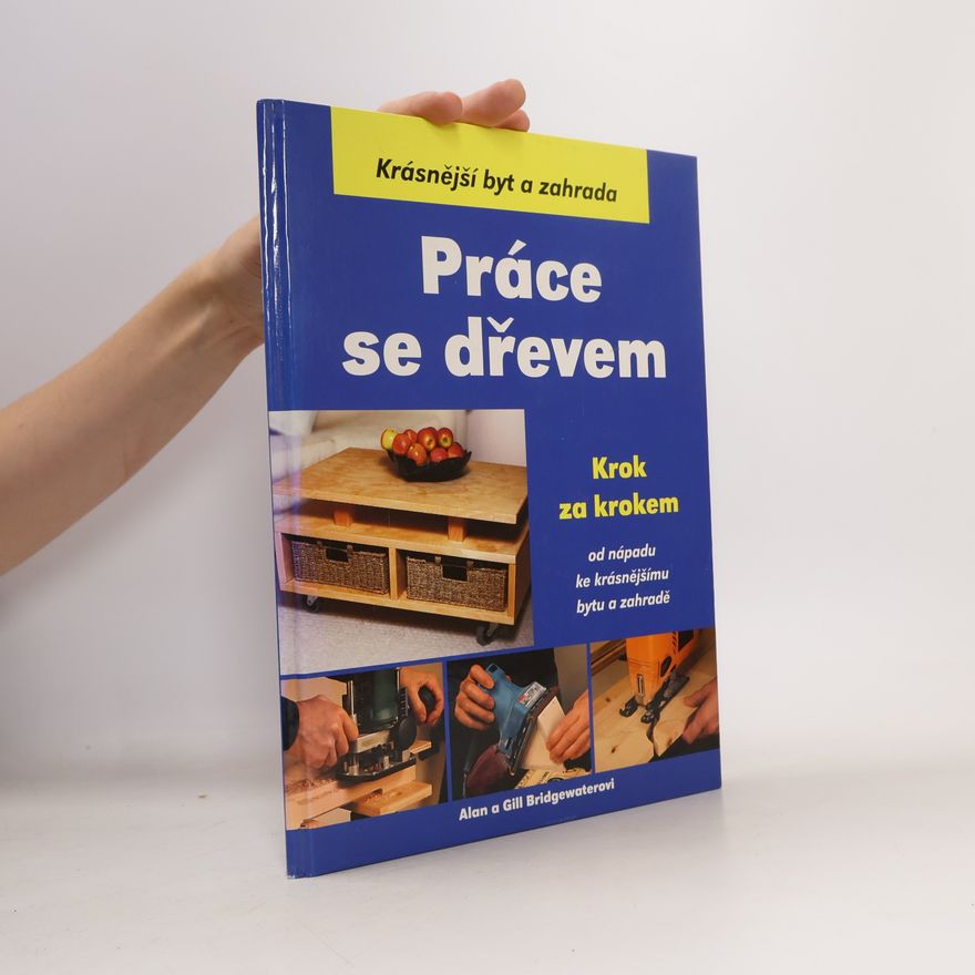 Alan Bridgewater Práce se dřevem krok za krokem