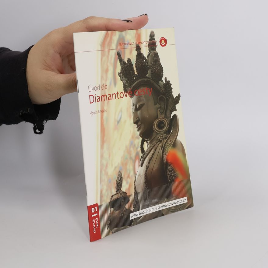 Kolektiv autorů Úvod do Diamantové cesty 1.