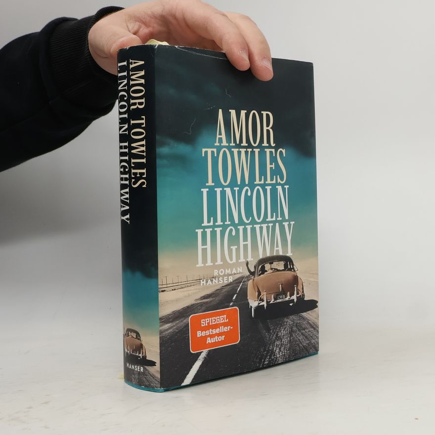 Amor Towels Lincoln Highway