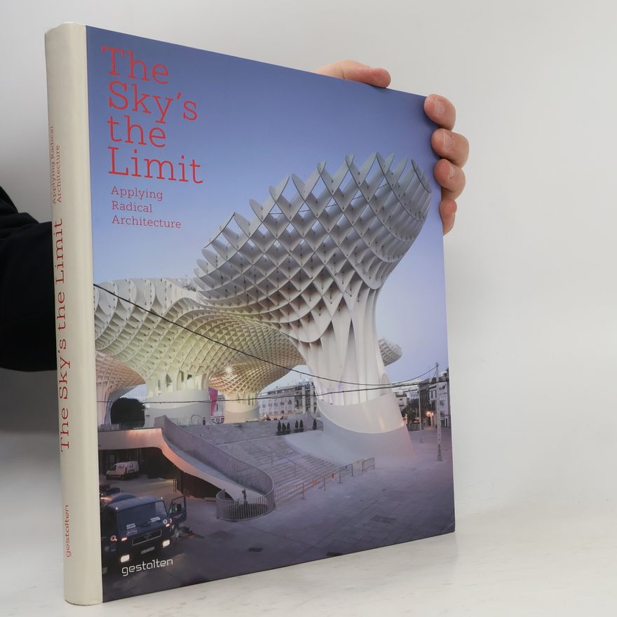 Sofia Borges The sky's the limit : applying radical architecture