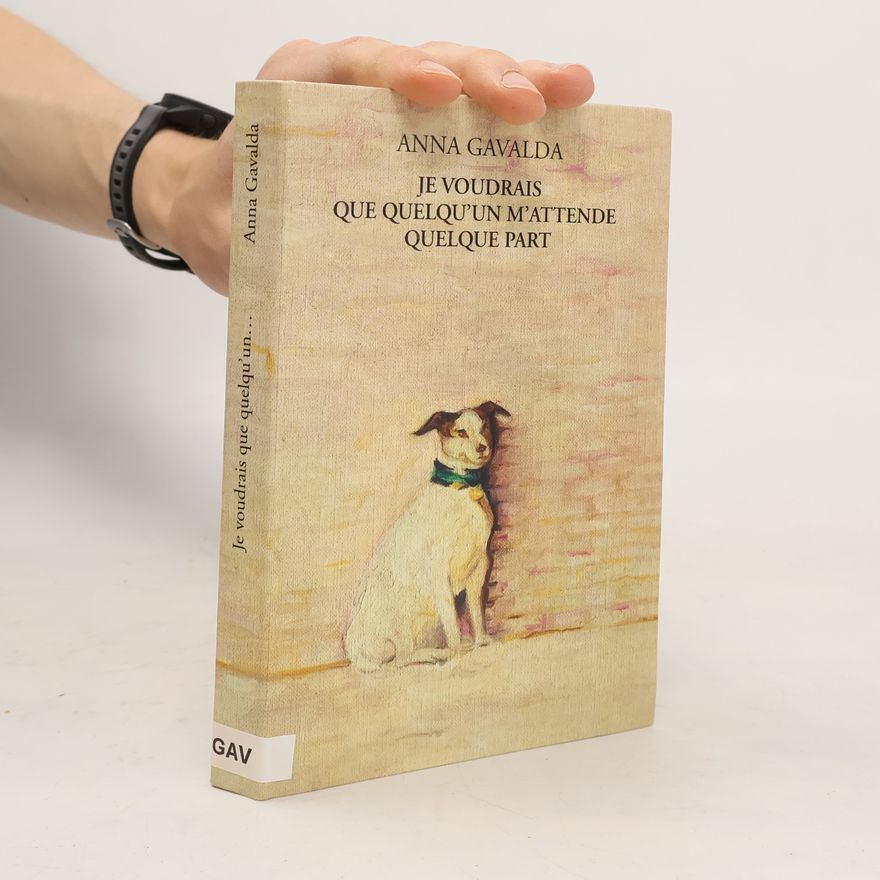 Anna Gavalda Je voudrais que quelqu'un m'attende quelque part