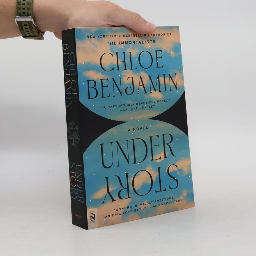 Chloe Benjamin Under Story