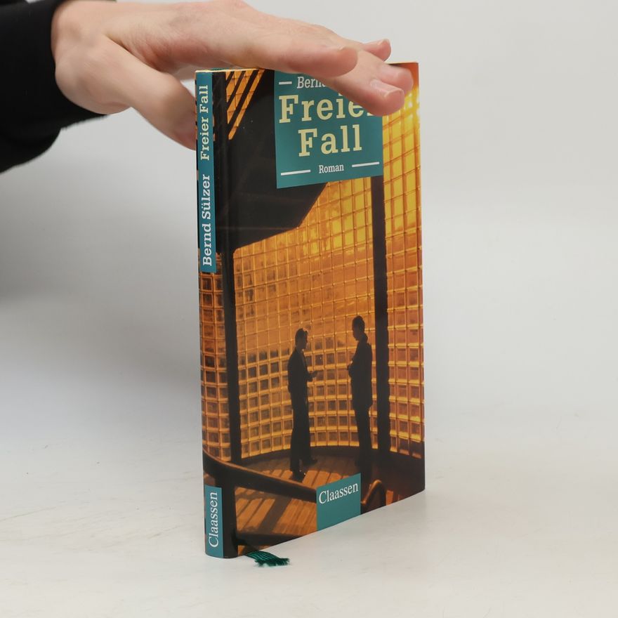 Bernd Sülzer Freier Fall. Roman