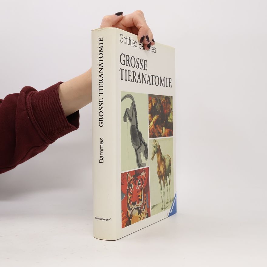 Gottfried Bammes Grosse Tieranatomie: Gestalt, Geschichte, Kunst