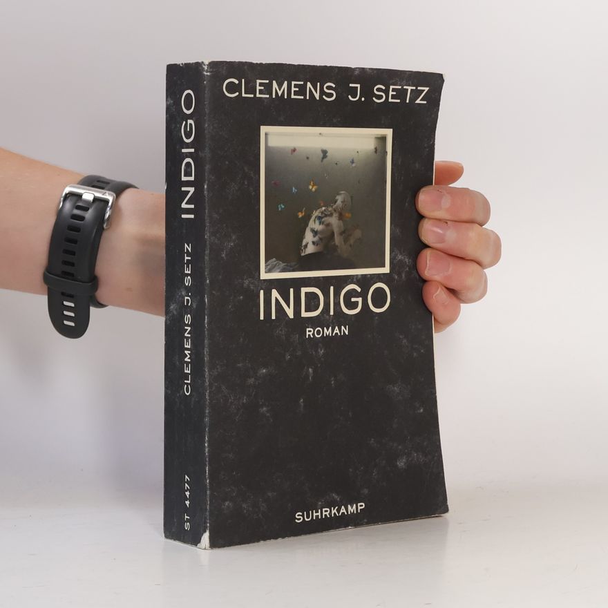 Clemens J. Setz Indigo