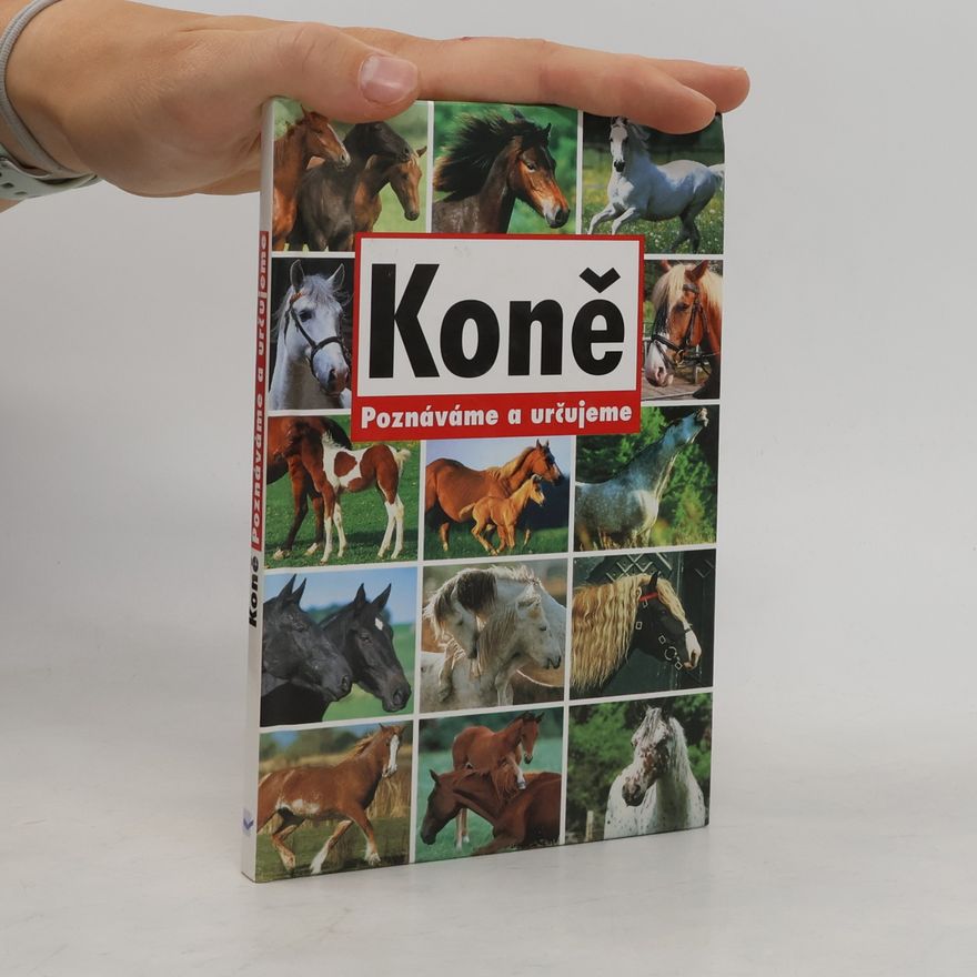 Autorenkollektiv Koně - Poznáváme a určujeme