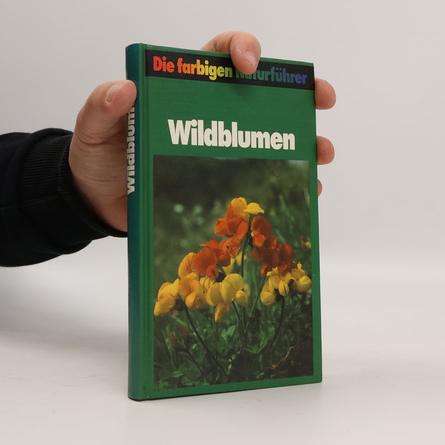 Kolektiv autorů Wildblumen