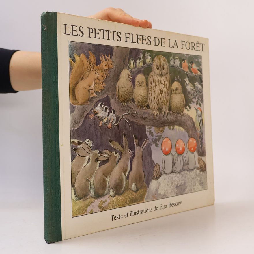Michel Sineux Les petits elfes de la forêt