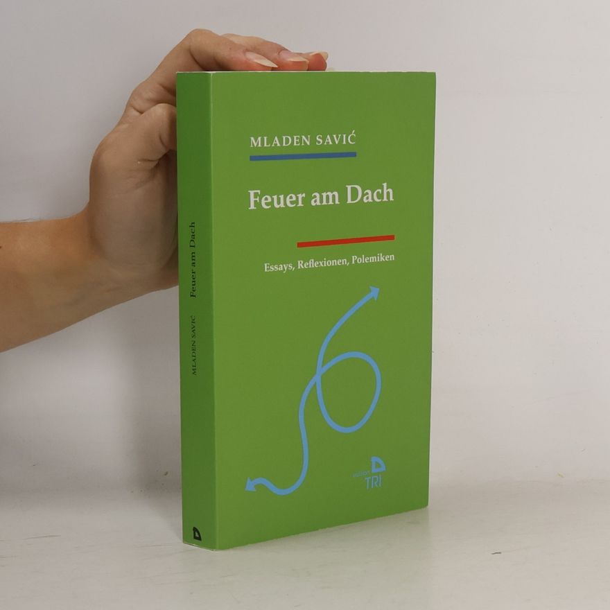 Mladen Savic Feuer am Dach
