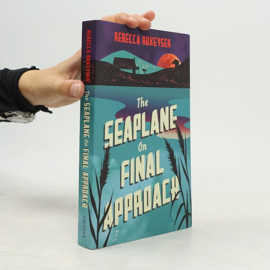 Rebecca Rukeyser The Seaplane on Final Approach