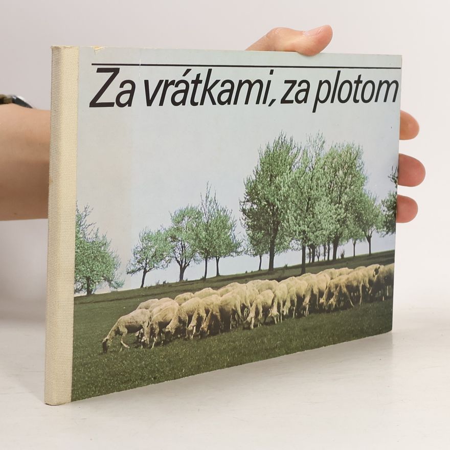 Julius Kontár Za vrátkami, za plotom