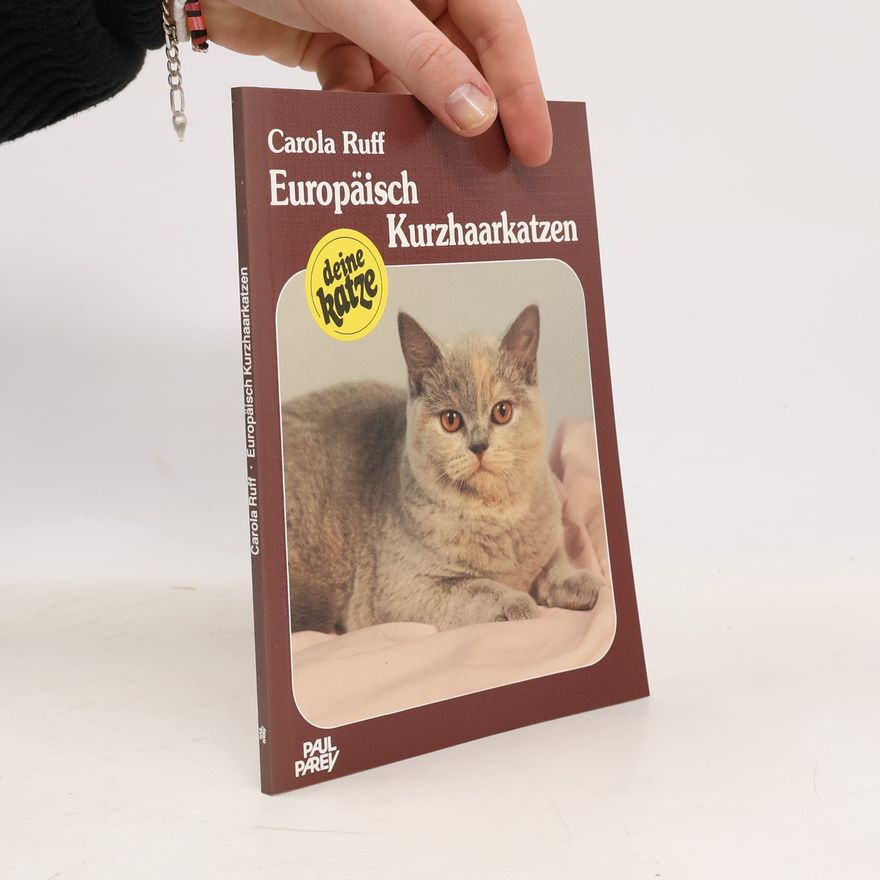 Carola Ruff Europäische Kurzhaarkatzen