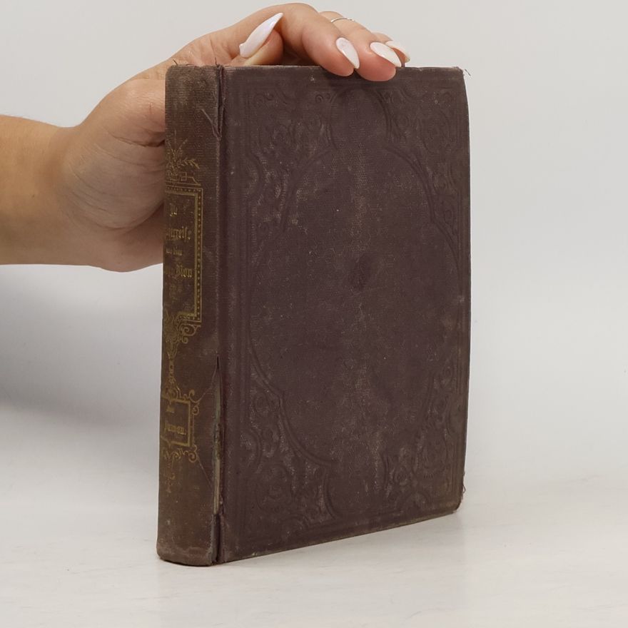 John Bunyan Die Pilgerreise nach dem Berge Zion