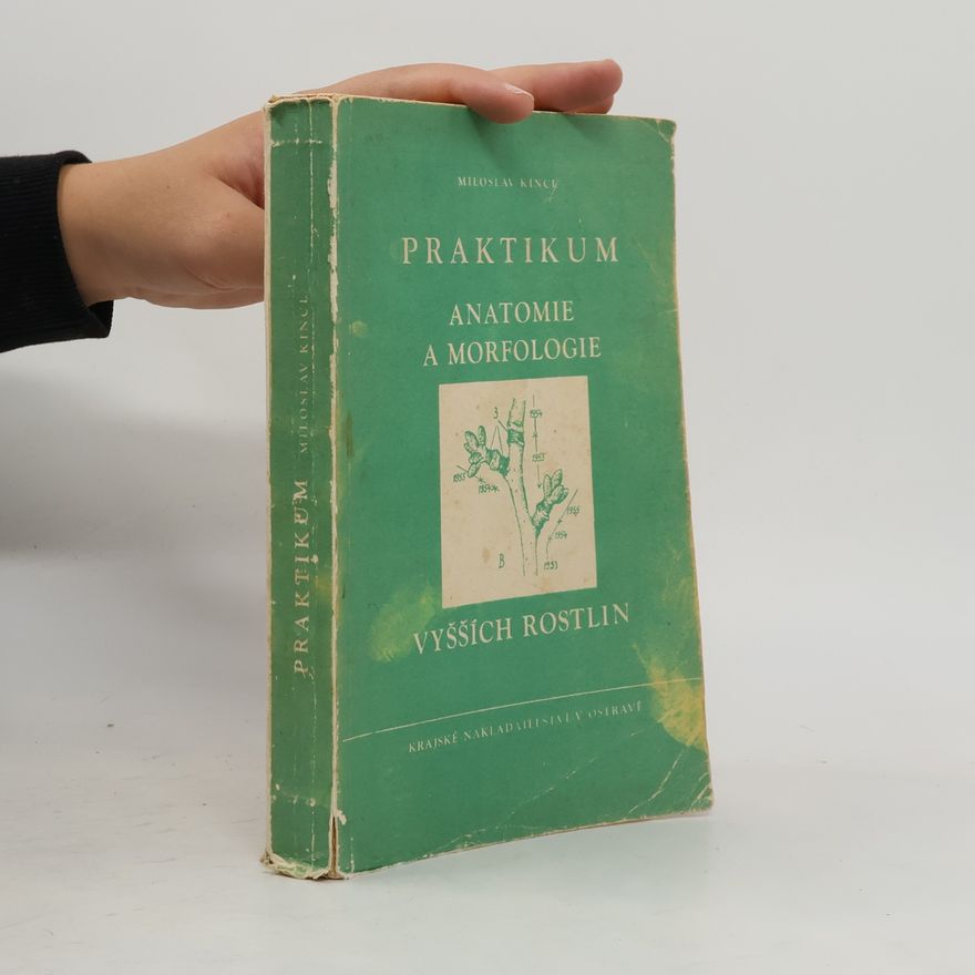Miloslav Kincl Praktikum. Anatomie a morfologie vyšších rostlin