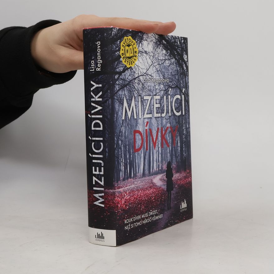 Lisa Regan Mizející dívky