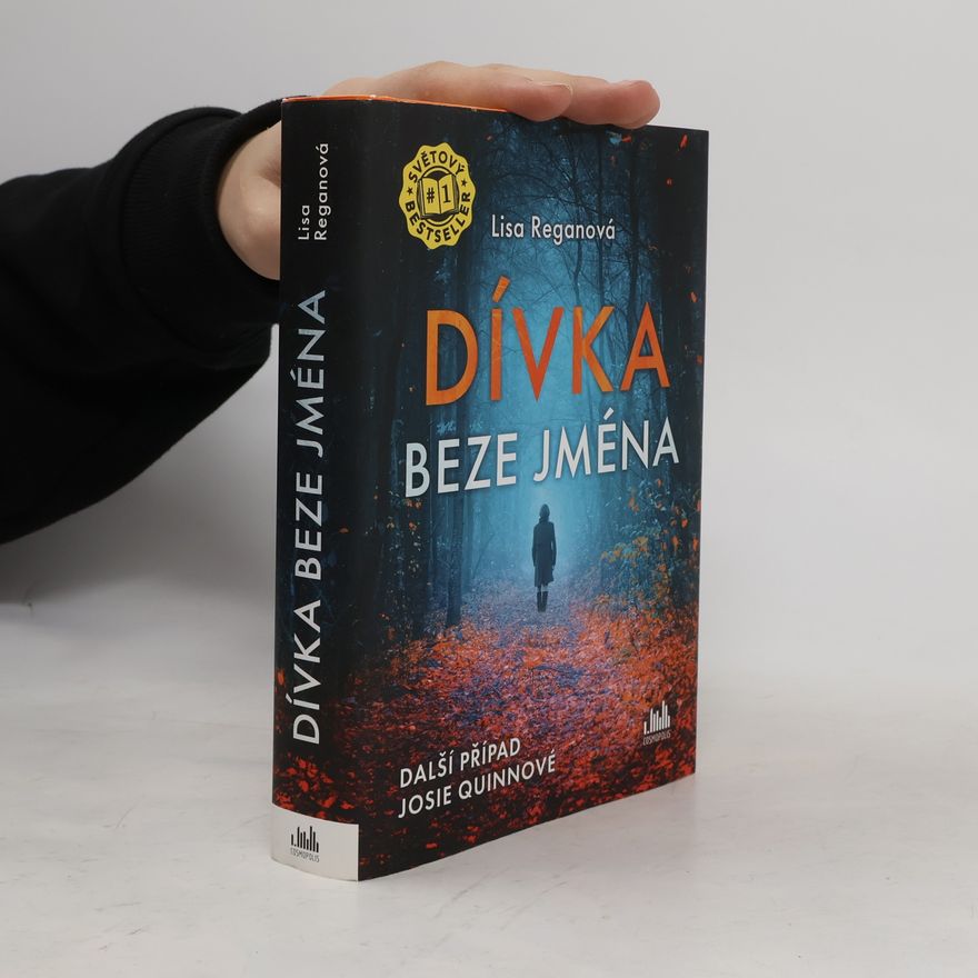 Lisa Regan Dívka beze jména: Další případ Josie Quinnové