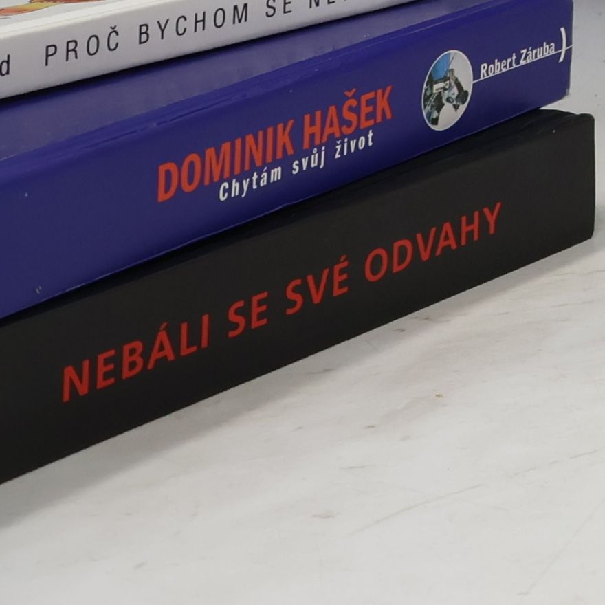 Robert Fulghum Už hořela, když jsem si do ní lehal