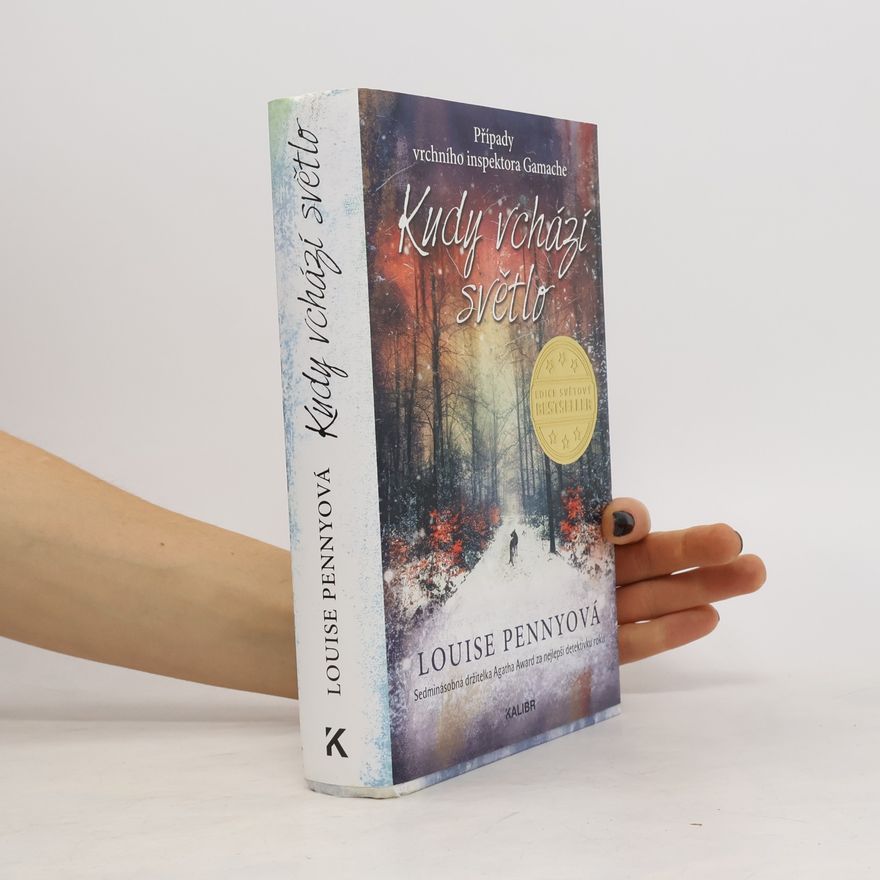Louise Penny Kudy vchází světlo