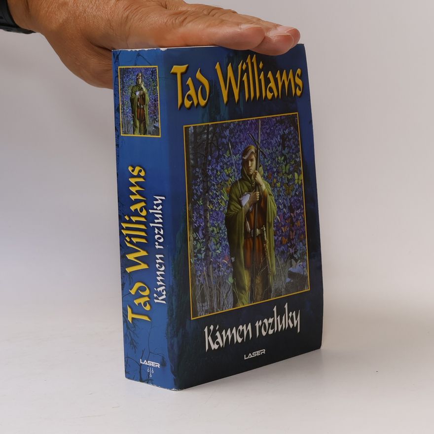 Tad Williams Kámen rozluky