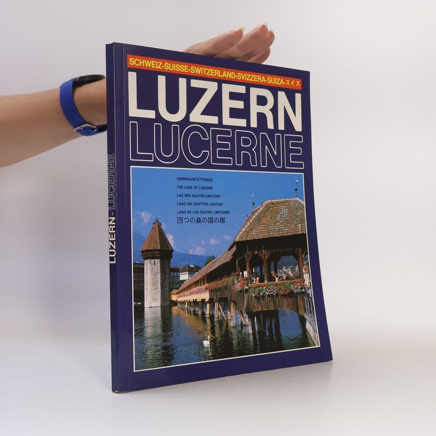 Dino Sassi Luzern Lucerne