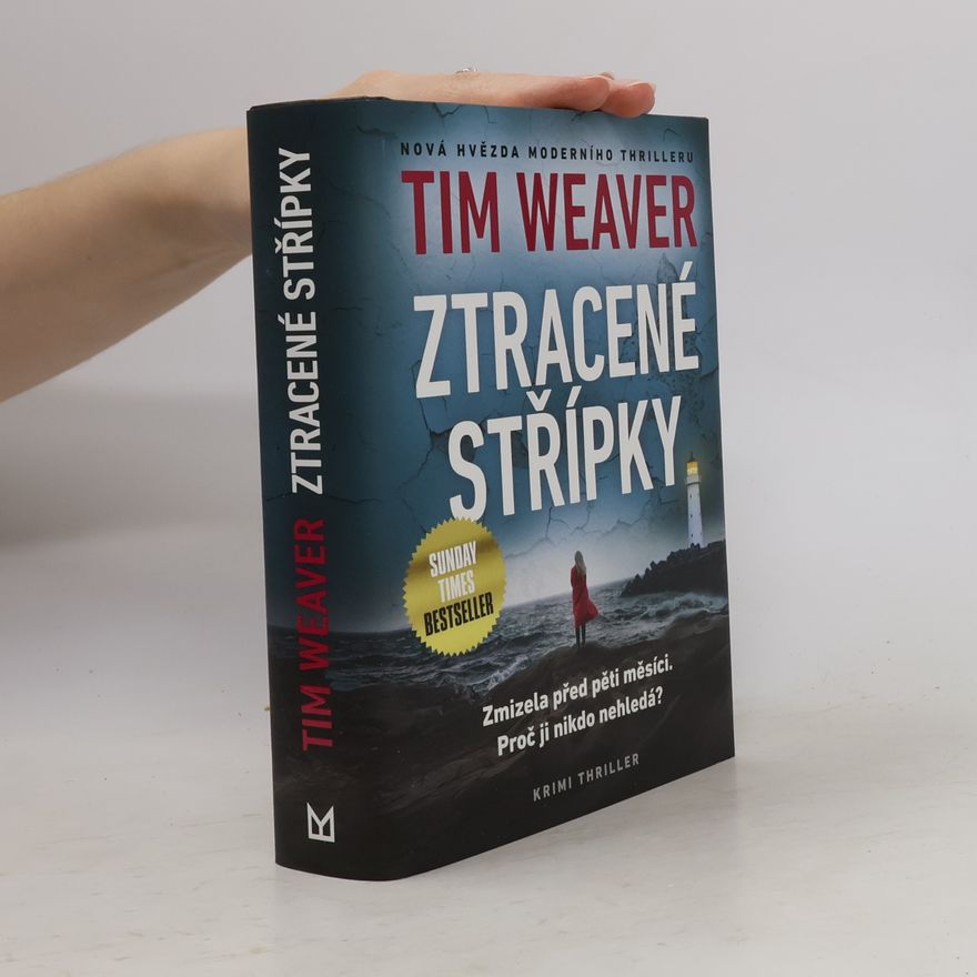 Tim Weaver Ztracené střípky