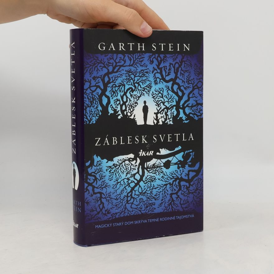 Garth Stein Záblesk svetla
