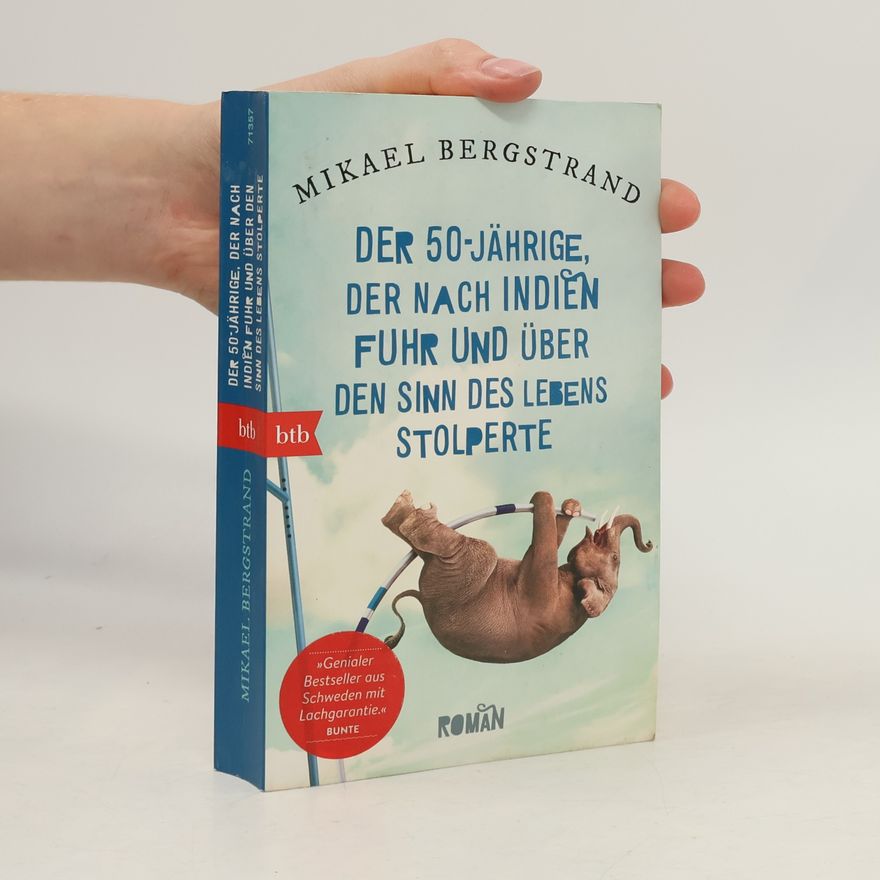 Mikael Bergstrand Der 50-jährige, der nach Indien fuhr und über den Sinn des Lebens stolperte