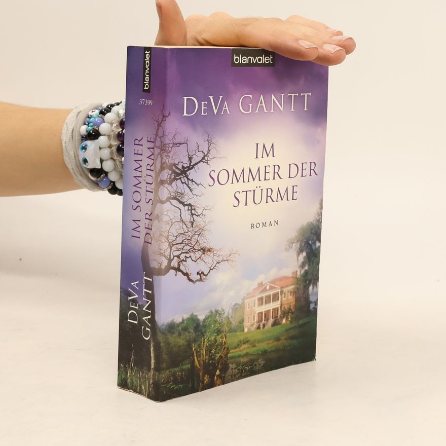 DeVa Gantt Im Sommer der Stürme. Roman
