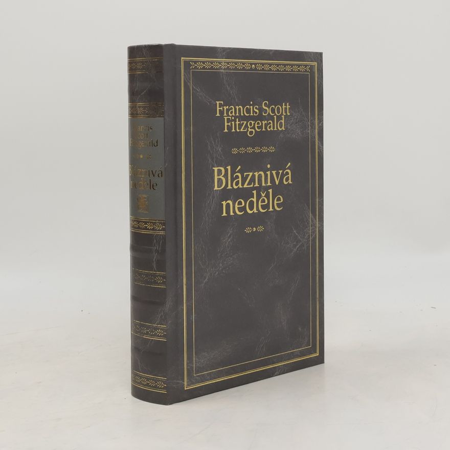 Francis Scott Fitzgerald Bláznivá neděle a jiné povídky