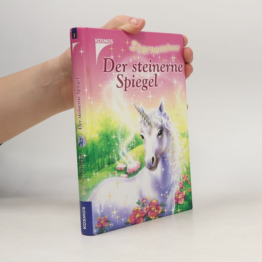 Linda Champan Sternenschweif: Der steinerne Spiegel