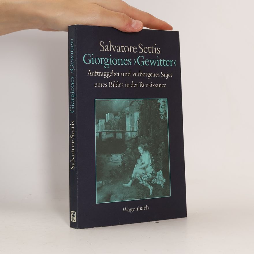 Salvatore Settis Giorgiones "Gewitter"