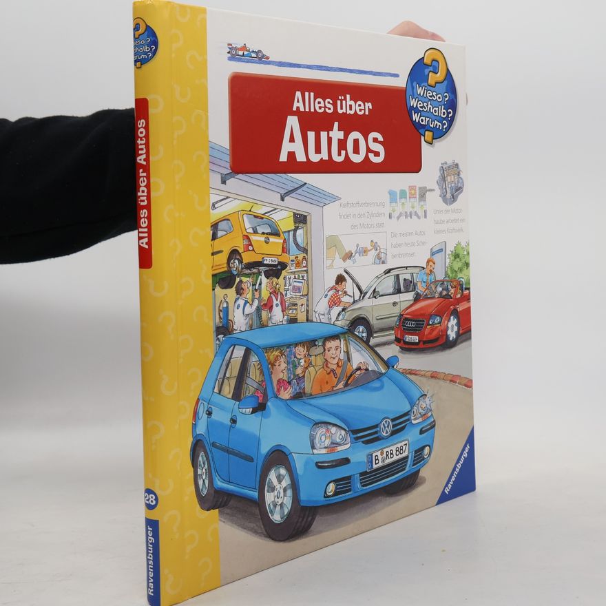 Andrea Erne Alles über Autos
