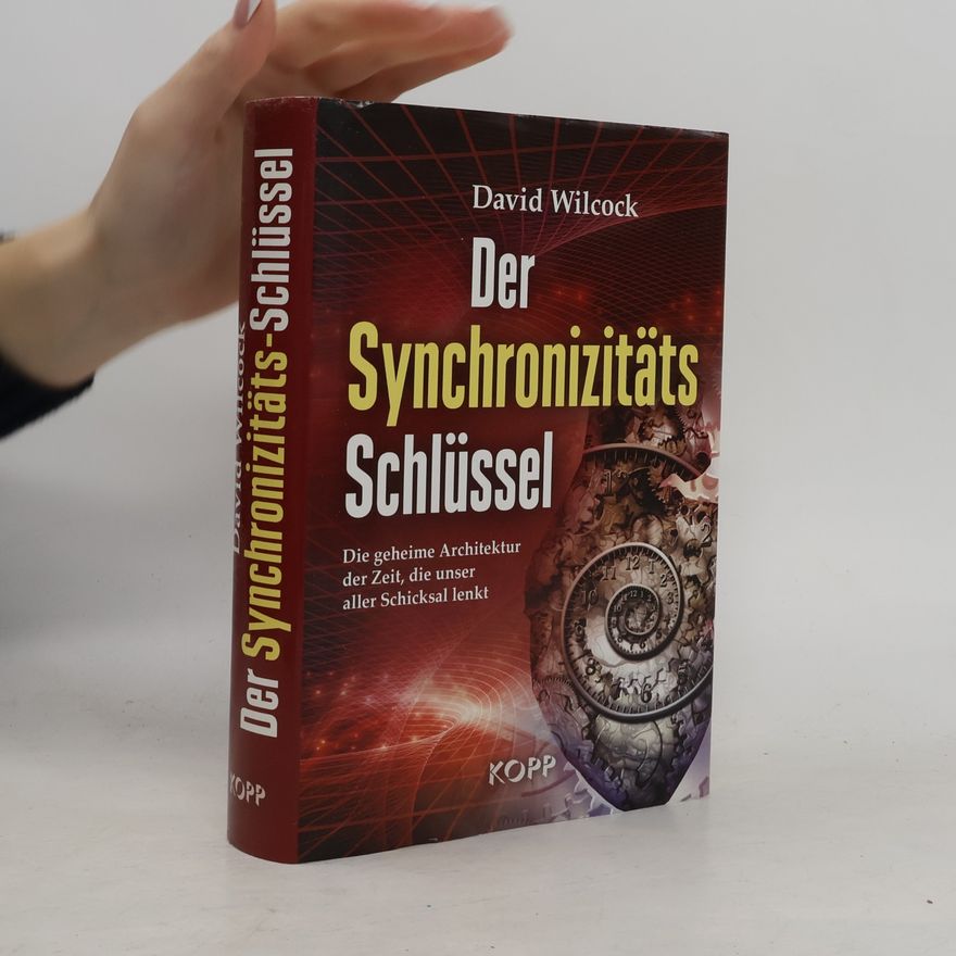 David Wilcock Der Synchronizitäts-Schlüssel